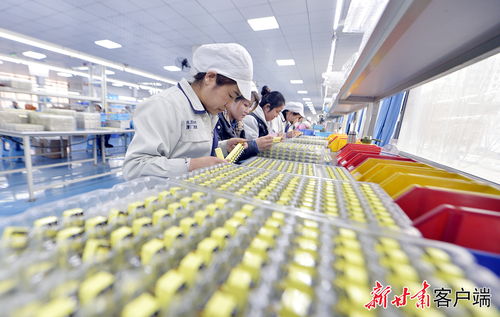 康乐县东西协作乡村就业工厂节后复工生产忙，职业中介服务助力稳岗就业